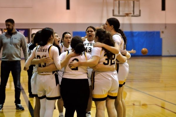 Girls basketball team earns a tri-district spot after second playoff victory