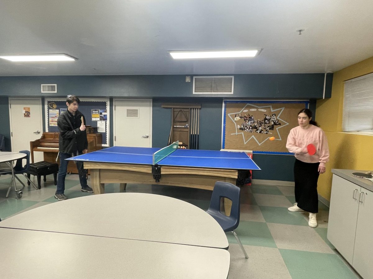 Ping-pong arrives at NYHS, and it's ‘pretty fun’